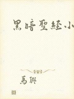 黑暗圣经小说