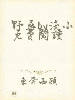 野桑by浅小说免费阅读