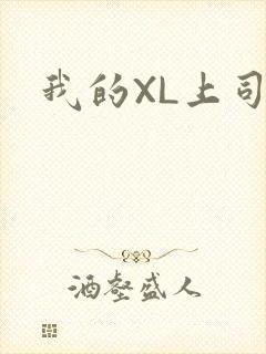 我的XL上司
