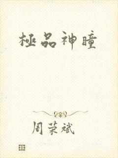 极品神瞳