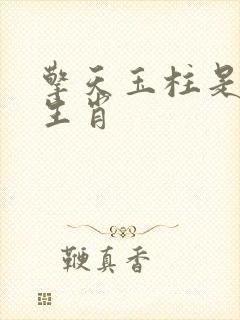 擎天玉柱是什么生肖
