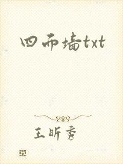 四面墙txt