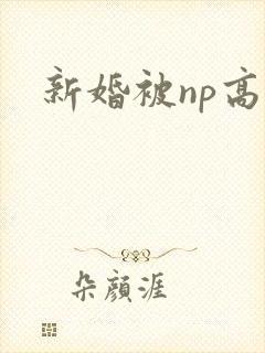 新婚被np高h