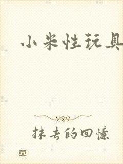 小米性玩具日记