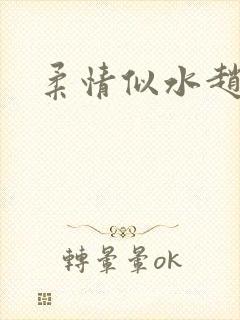柔情似水赵雅儿