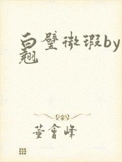 白璧微瑕by连翘