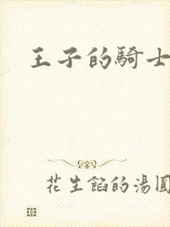 王子的骑士