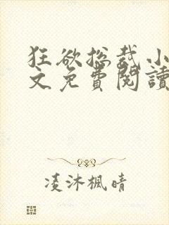 狂欲总裁小说全文免费阅读