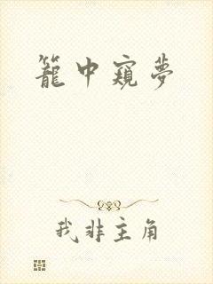 笼中窥梦