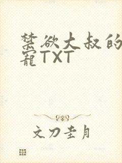 禁欲大叔的心尖宠TXT封面