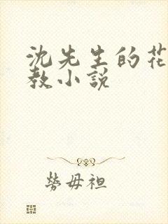 沈先生的花式管教小说封面