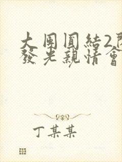 大团圆结2闪闪发光亲情会封面