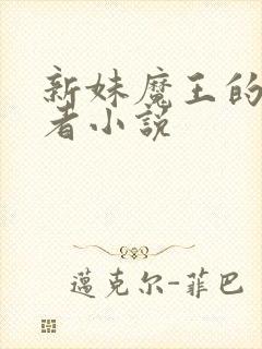 新妹魔王的契约者小说