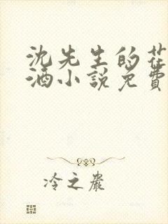 沈先生的花式调酒小说免费阅读封面