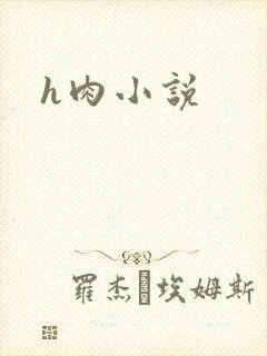 h肉小说
