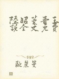 陆昭菱晋王的小说全文免费阅读