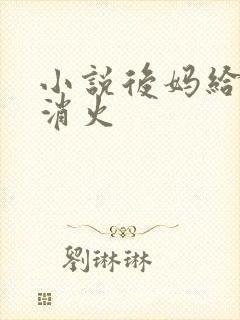 小说后妈给我消消火