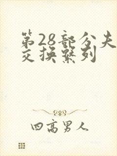 第28部分夫妇交换系列
