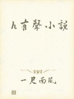 h有声小说