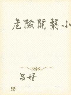 危险关系小说