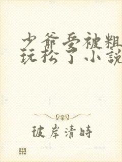 少爷受被粗汉H玩松了小说