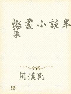 燃尽小说半截白菜
