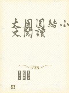 大团圆结小茹全文阅读