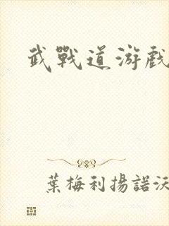 武战道游戏封面