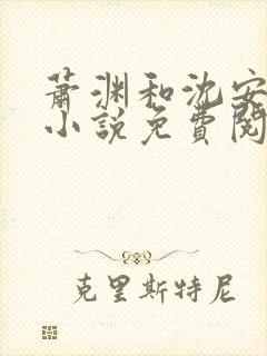 萧渊和沈安安的小说免费阅读