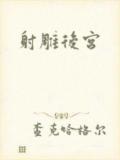 射雕后宫