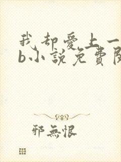 我却爱上一个sb小说免费阅读无弹窗封面