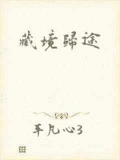 藏境归途