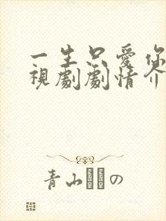 一生只爱你 电视剧剧情介绍
