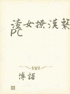 渣女撩汉系统NPC封面
