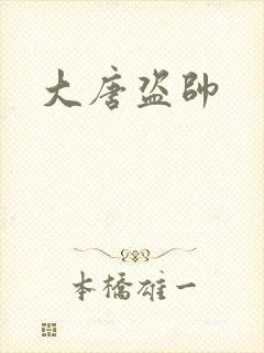 大唐盗帅