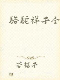 书籍封面
