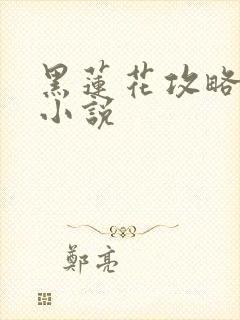 黑莲花攻略手册小说