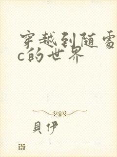 穿越到随处可以c的世界
