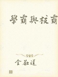 学霸与校霸封面