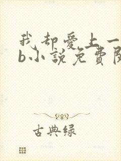 我却爱上一个sb小说免费阅读无弹窗封面