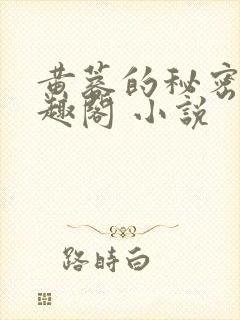 黄蓉的秘密 笔趣阁 小说封面