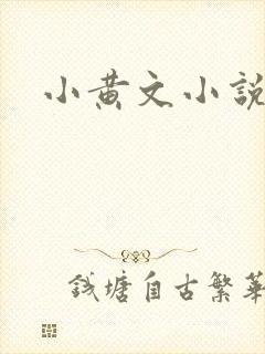 小黄文小说