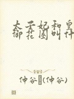 太子妃和皇帝在御花园叫什么小说