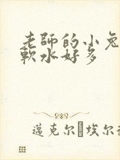 老师的小兔子好软水好多