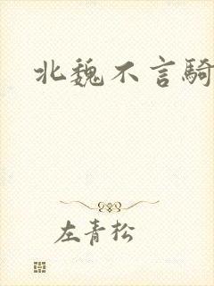 北魏不言骑