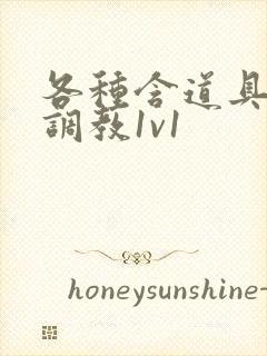 各种含道具高h调教1v1