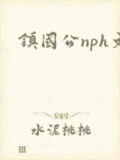 镇国公nph文