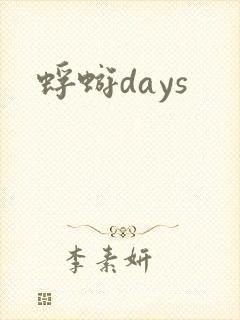 蜉蝣days封面