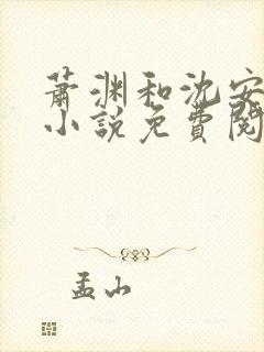 萧渊和沈安安的小说免费阅读