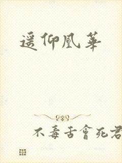 遥仰凰华封面